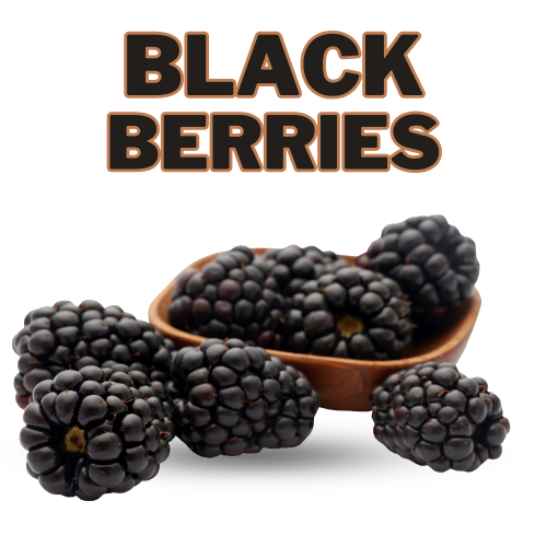 Blackberries (Premium) (250 gm X 2 Combo Pack)