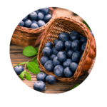 Blueberry