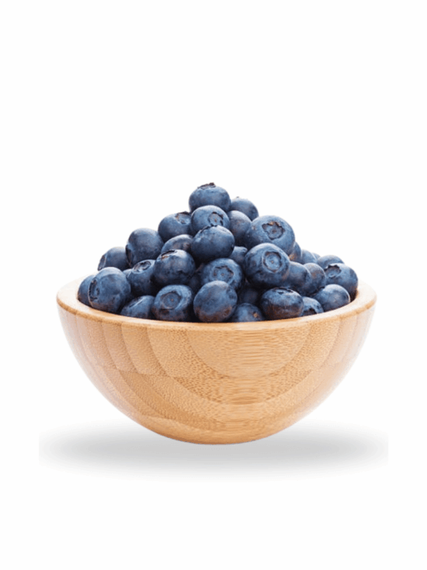 American Blueberry