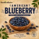 American Blueberry