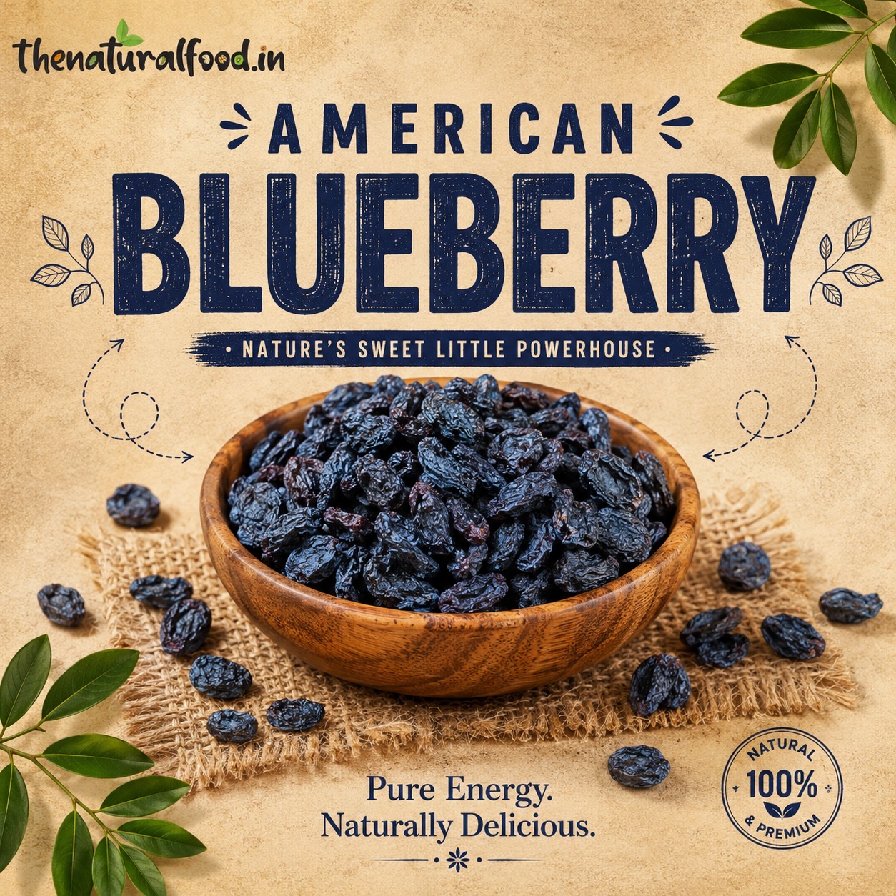 American Blueberry