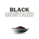 Black Mustard