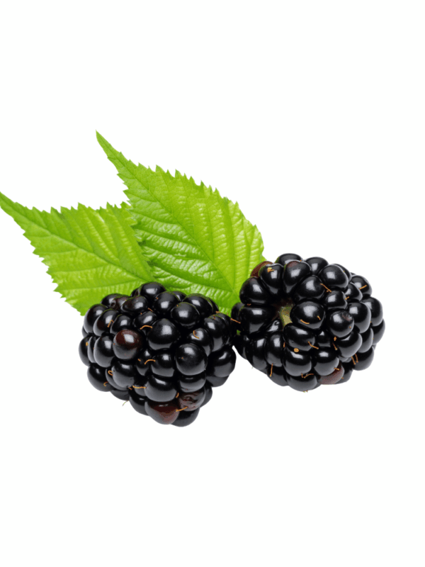 Blackberries (Premium)