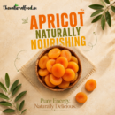 Apricot Plain (Juicy)