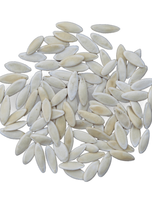 Cucumber (Shell Removed)