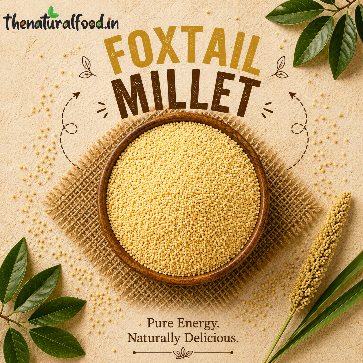 Foxtail Millet-(Fiber Rich, Supports Weight loss)