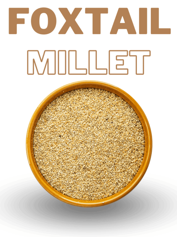 Foxtail Millet - 500 gms (Fiber Rich, Supports Weight loss)