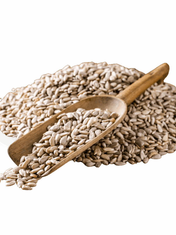 Sunflower (Shell Removed)