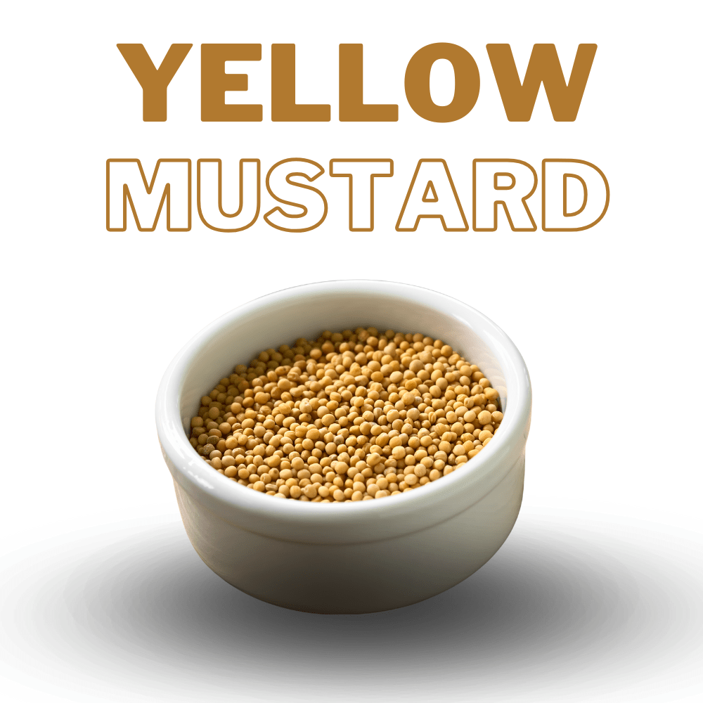 Yellow Mustard / White Mustard - Image 2